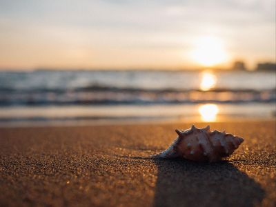 sunrise on a beach