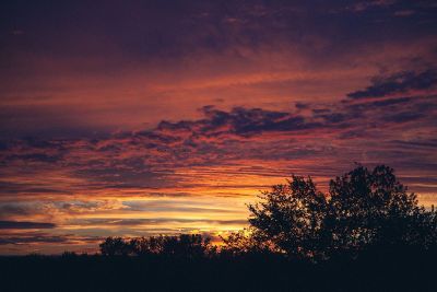 sunset overtop of trees