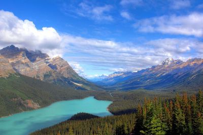 nature in a valley