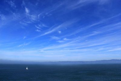 sailboat on the sea