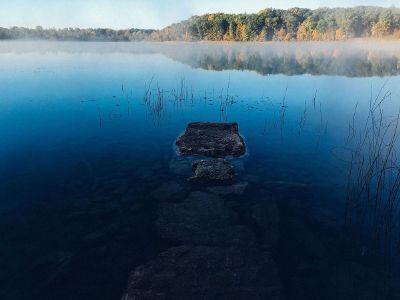 peaceful foggy lake