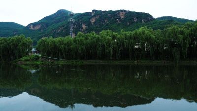 calm swamp lake