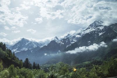 forest mountain range