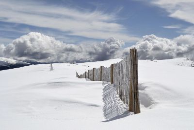fence in a field of snow