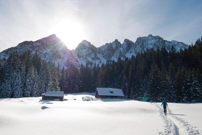 man and cabin