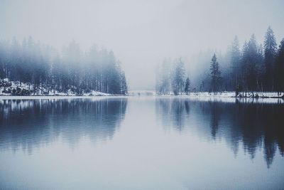 frozrn frosty lake and trees