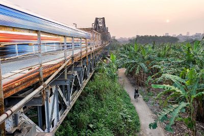 train through the jungle