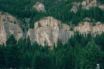 country hillside