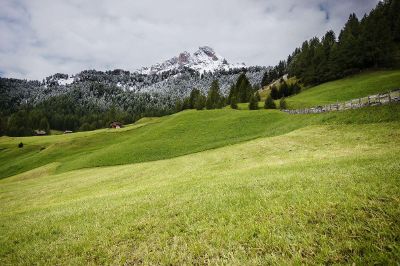 scenery of mountain and field