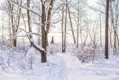 human walking in the snow