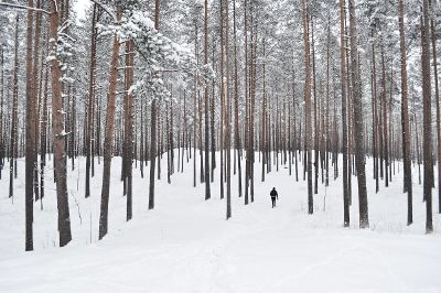 man walking in snowy forest