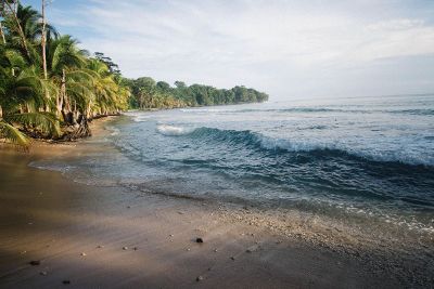 tropical beach