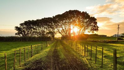 driveway in the country