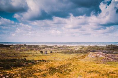 seaside field