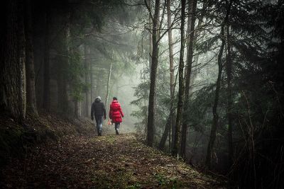 people walking in a forest