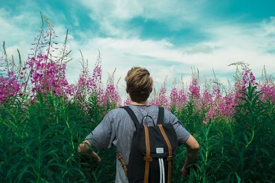 boy in flower field