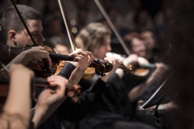 violinists playing in concert