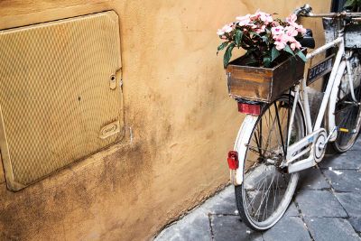 white bike with flowers against wall