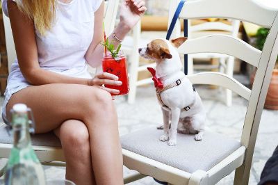 woman and dog having a drink