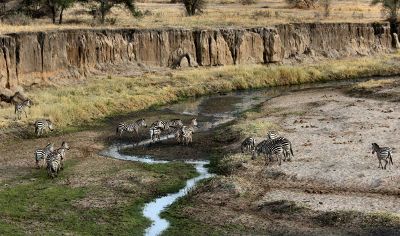 watering hole