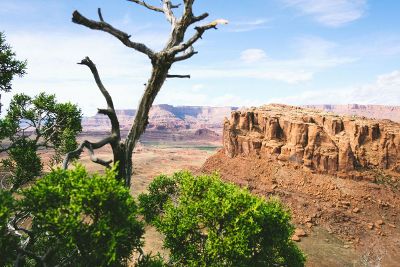 stark desert landscape