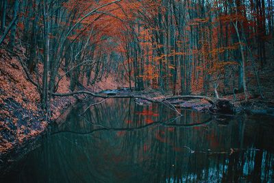 lake in fall