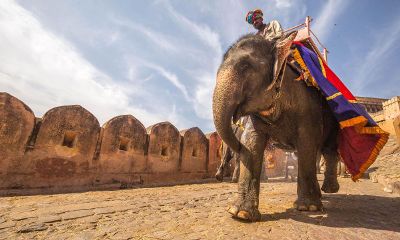 mahout riding an elephant