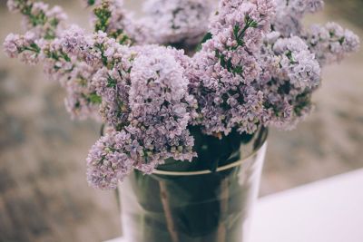 flowers in vase