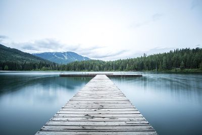 lake near a forest