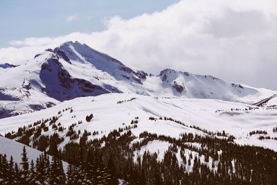 snowy mountain forest