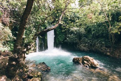 waterfall in the woods