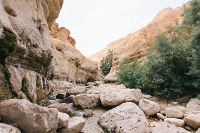 rocky desert land