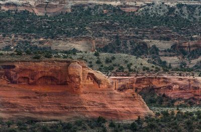 red rocks in a sea of green