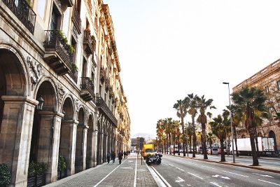 palm trees down the median