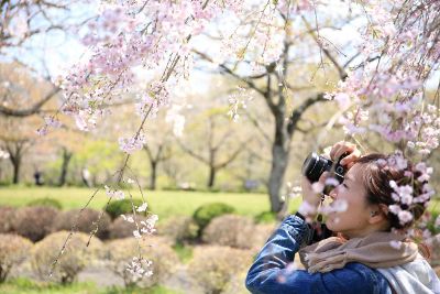 girl taking nature pictures