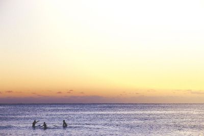 people playing at a sunset beach