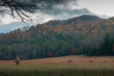 dark clouds over mountains