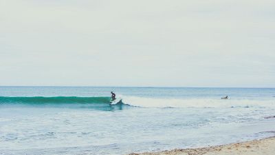 surf a wave