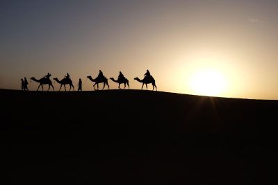 people leading and riding camels