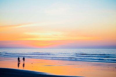 people and dog at beach