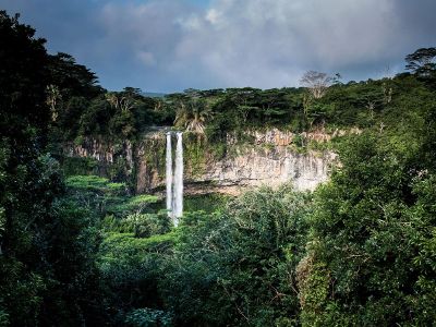 waterfall in a forest