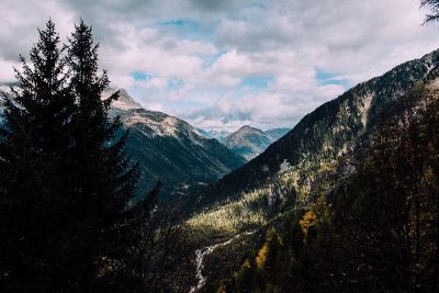 trees and mountains