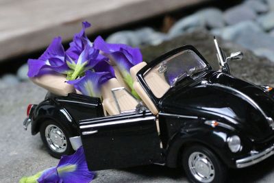 black volkswagen beetle with purple flowers