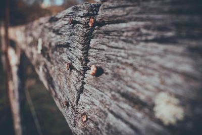 nails in wood