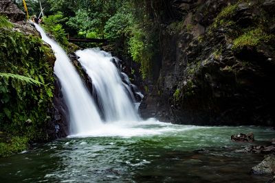 waterfall in lush vegetation