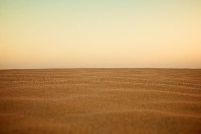 sandy desert