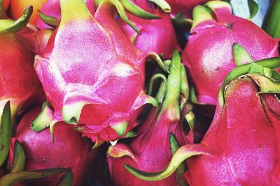 pink flowers up close