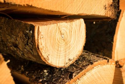 wood cutter in the board