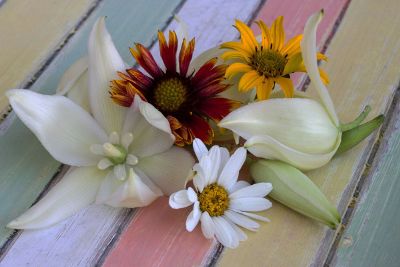 flowers on a colorful wooden surface