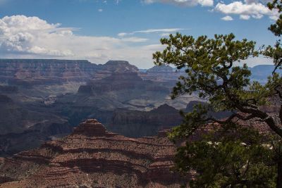 atop a grand canyon